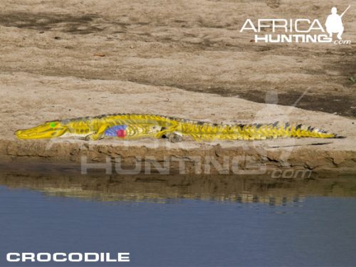 crocodile2