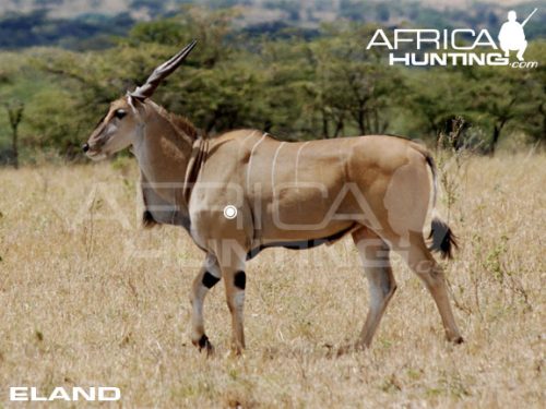 eland1