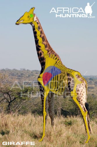 giraffe2