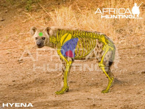 hyena2