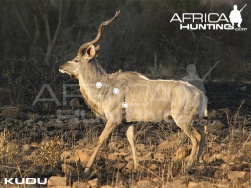 kudu1