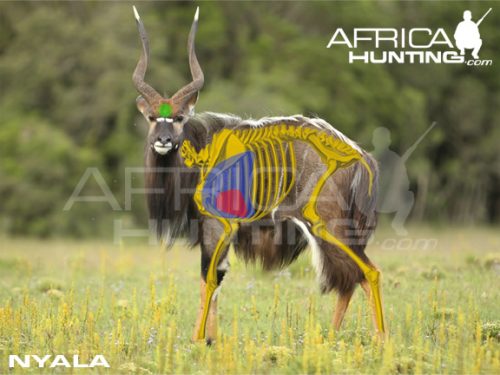 nyala2