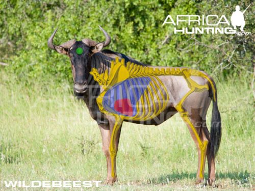 wildebeest2
